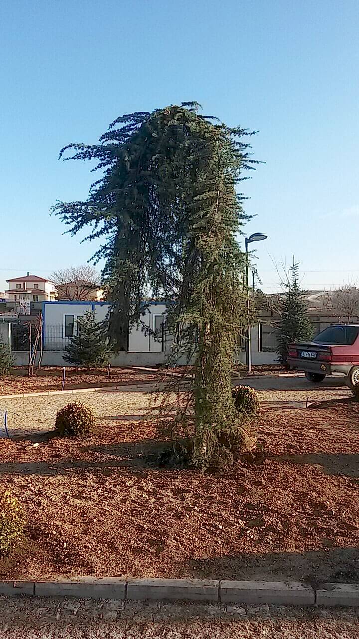 Anatoliagarden Gölbaşı Sosyal Tesisleri