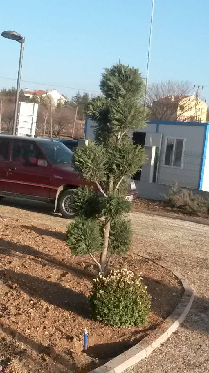 Anatoliagarden Gölbaşı Sosyal Tesisleri